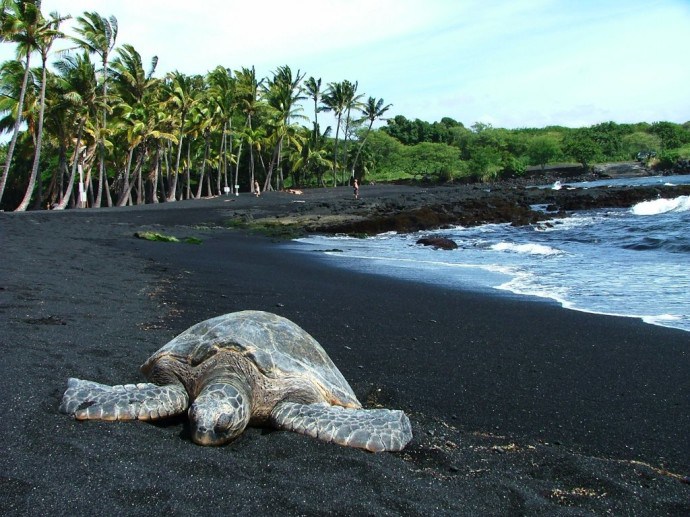 Black Sand beach